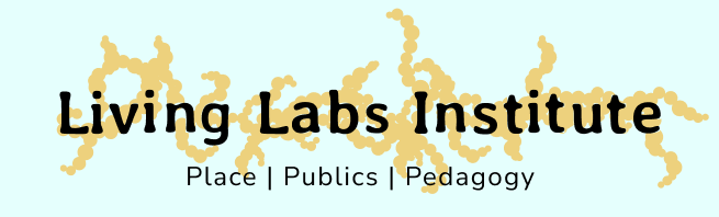 Living Labs Institute